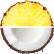 XL Suppelement Store