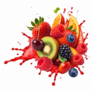 XL Suppelement Store