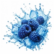 XL Suppelement Store