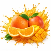 XL Suppelement Store