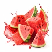 XL Suppelement Store