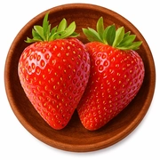 XL Suppelement Store